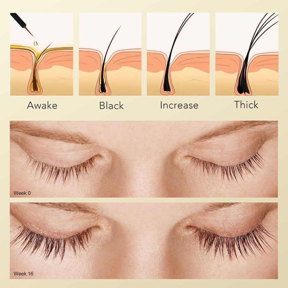 Ainlash Eyelash Growth Serum 4ml